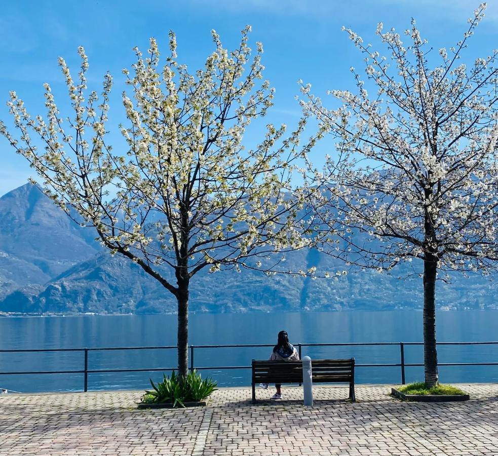 Brother'S Como Lake Suite Acquaseria Eksteriør billede
